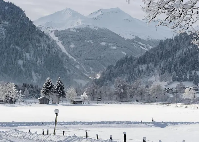 Kurapotheke Apartmán